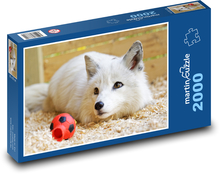 White fox Puzzle 2000 pieces - 90 x 60 cm