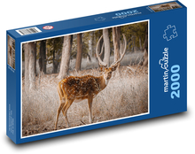 Hirsch - Tier Puzzle 2000 Teile - 90 x 60 cm