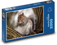 Zwierzę - wiewiórka Puzzle 2000 elementów - 90x60 cm