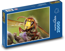 Sršeň - osa Puzzle 2000 dielikov - 90 x 60 cm
