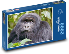 Gorilla Puzzle 2000 pieces - 90 x 60 cm