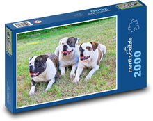 American Bulldogs in the Grass Puzzle 2000 pieces - 90 x 60 cm