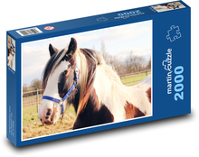 Głowa białobrązowego konia Puzzle 2000 elementów - 90x60 cm