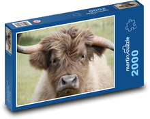 Furry Brown Cow Puzzle 2000 pieces - 90 x 60 cm