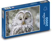 Velká bílá sova Puzzle 2000 dílků - 90 x 60 cm