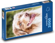 Psí hlava - kólie Puzzle 2000 dielikov - 90 x 60 cm