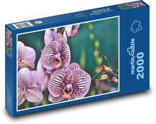 Kwiaty orchidei różanej Puzzle 2000 elementów - 90x60 cm