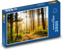 Las i słońce Puzzle 2000 elementów - 90x60 cm