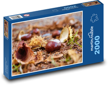 Kasztanowa Jesień Puzzle 2000 elementów - 90x60 cm