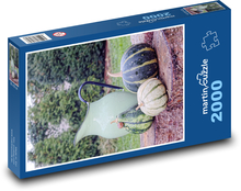 Pumpkin garden decorations Puzzle 2000 pieces - 90 x 60 cm