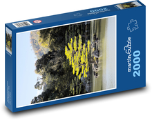 Trees on the water surface Puzzle 2000 pieces - 90 x 60 cm