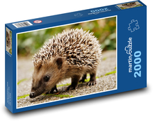 Mały jeż na chodniku Puzzle 2000 elementów - 90x60 cm