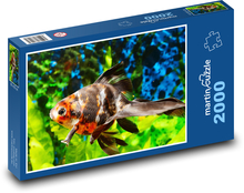 Aquarienfische im Aquarium Puzzle 2000 Teile - 90 x 60 cm
