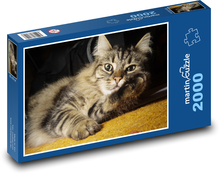 Norwegische Waldkatze Puzzle 2000 Teile - 90 x 60 cm