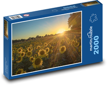 Slunce nad polem slunečnic Puzzle 2000 - 90x60 cm