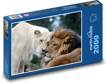 Löwe und Löwin Puzzle 2000 Teile - 90 x 60 cm