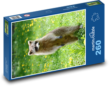 Mýval v záhrade Puzzle 260 dielikov - 41 x 28,7 cm 
