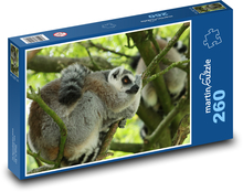 Kata lemur sleeping in a tree Puzzle 260 pieces - 41 x 28.7 cm 