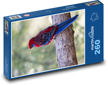 Rozela Pennantova - australský papoušek Puzzle 260 dílků - 41 x 28,7 cm