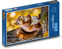 Squirrel - forest animal Puzzle 260 pieces - 41 x 28.7 cm 