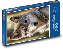 Wolfsjunge Puzzle 260 Teile - 41 x28,7 cm