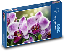 Fialové květy orchideje Puzzle 260 dílků - 41 x 28,7 cm