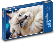 Blauäugige Katze Puzzle 260 Teile - 41 x28,7 cm