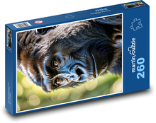Czarny goryl - małpa Puzzle 260 elementów - 41x28,7 cm