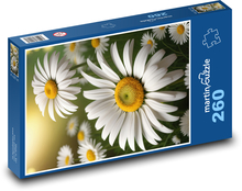 Daisies - white flowers Puzzle 260 pieces - 41 x 28.7 cm 