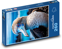 Teriér s modrými nohami - morský vták Puzzle 260 dielikov - 41 x 28,7 cm 