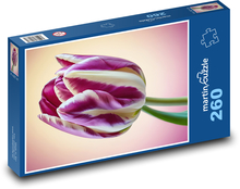 Tulipán - květina, květ Puzzle 260 dílků - 41 x 28,7 cm
