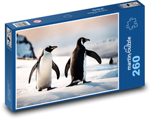 Pingwiny na Antarktydzie Puzzle 260 elementów - 41x28,7 cm