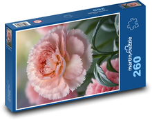 Růžový karafiát - květina Puzzle 260 dílků - 41 x 28,7 cm