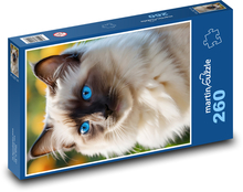 Blue cat eyes Puzzle 260 pieces - 41 x 28.7 cm