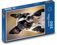 Boston Terrier. Puzzle 260 Teile - 41 x28,7 cm