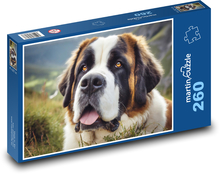 Pes - bernardýn, mazlíček Puzzle 260 dílků - 41 x 28,7 cm