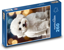 Pes - bichon, mazlíček Puzzle 260 dílků - 41 x 28,7 cm