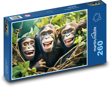 Smejúce sa opice - šimpanzy, zvieratá Puzzle 260 dielikov - 41 x 28,7 cm 