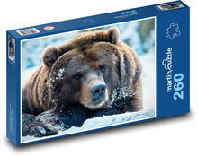 Medvěd hnědý - zvíře, savec Puzzle 260 dílků - 41 x 28,7 cm