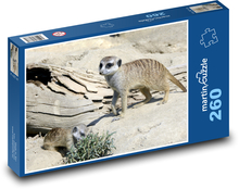 Surykatki - małe zwierzę, ssaki w przyrodzie Puzzle 260 elementów - 41x28,7 cm