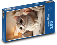 Kot - słodkie dziecko, kociak Puzzle 260 elementów - 41x28,7 cm
