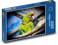 Bird parrot on a branch Puzzle 260 pieces - 41 x 28.7 cm 