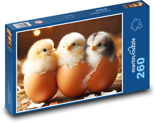 Vylíhlá kuřátka ve skořápce Puzzle 260 dílků - 41 x 28,7 cm