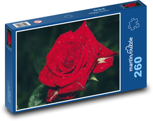 Rote Rose mit Morgentau Puzzle 260 Teile - 41 x28,7 cm