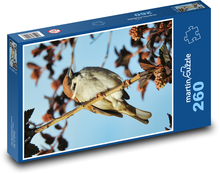 Vrabec hnedý na vetve Puzzle 260 dielikov - 41 x 28,7 cm 