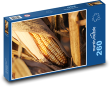 Ripe corn cob Puzzle 260 pieces - 41 x 28.7 cm 