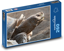 Obrovská želva Puzzle 260 dílků - 41 x 28,7 cm