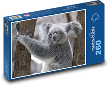 Medveď koala Puzzle 260 dielikov - 41 x 28,7 cm 