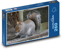 Veverka šedá Puzzle 260 dílků - 41 x 28,7 cm