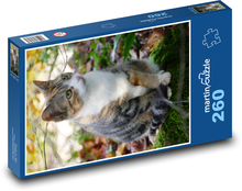 A cat sitting on moss Puzzle 260 pieces - 41 x 28.7 cm 